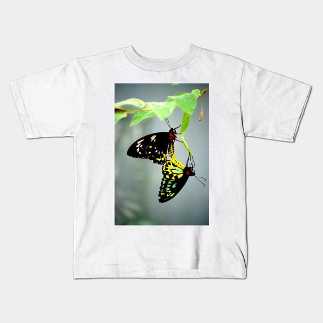 Mating Cairns Birdwings Kids T-Shirt by GP1746